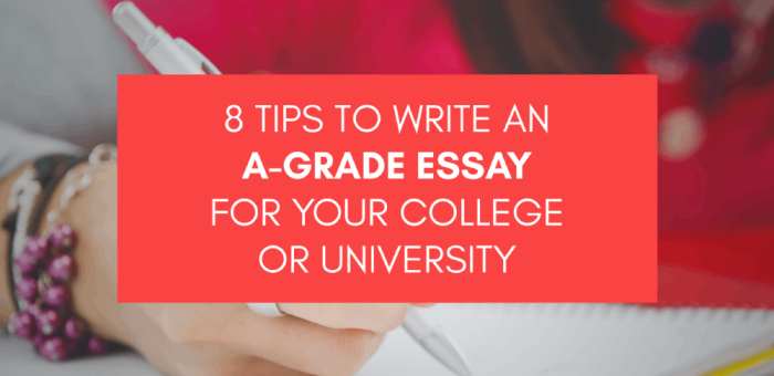 8 tips for college or university students to write an a-grade essay